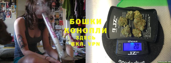 герыч Новозыбков