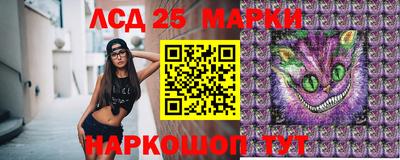 шишки Беслан