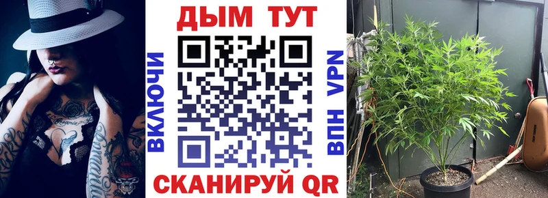 Каннабис индика  Кумертау 